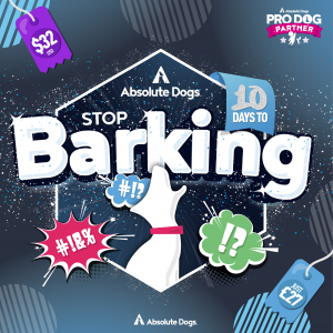 Stop Barking Mini Course Stop Barking Mini Course