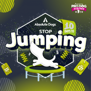 Stop Jumping Mini Course