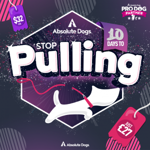 Stop Pulling Mini Course